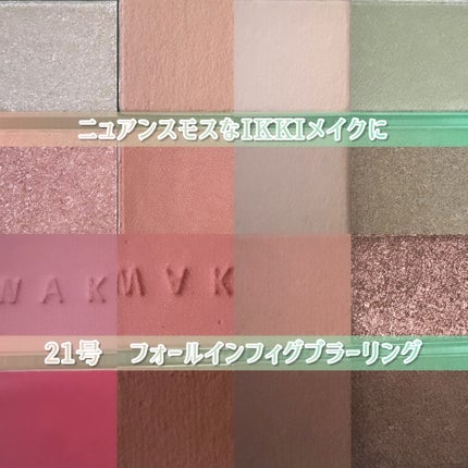 ソフトブラーリングアイパレット/wakemake/アイシャドウパレットを使ったクチコミ(2枚目)