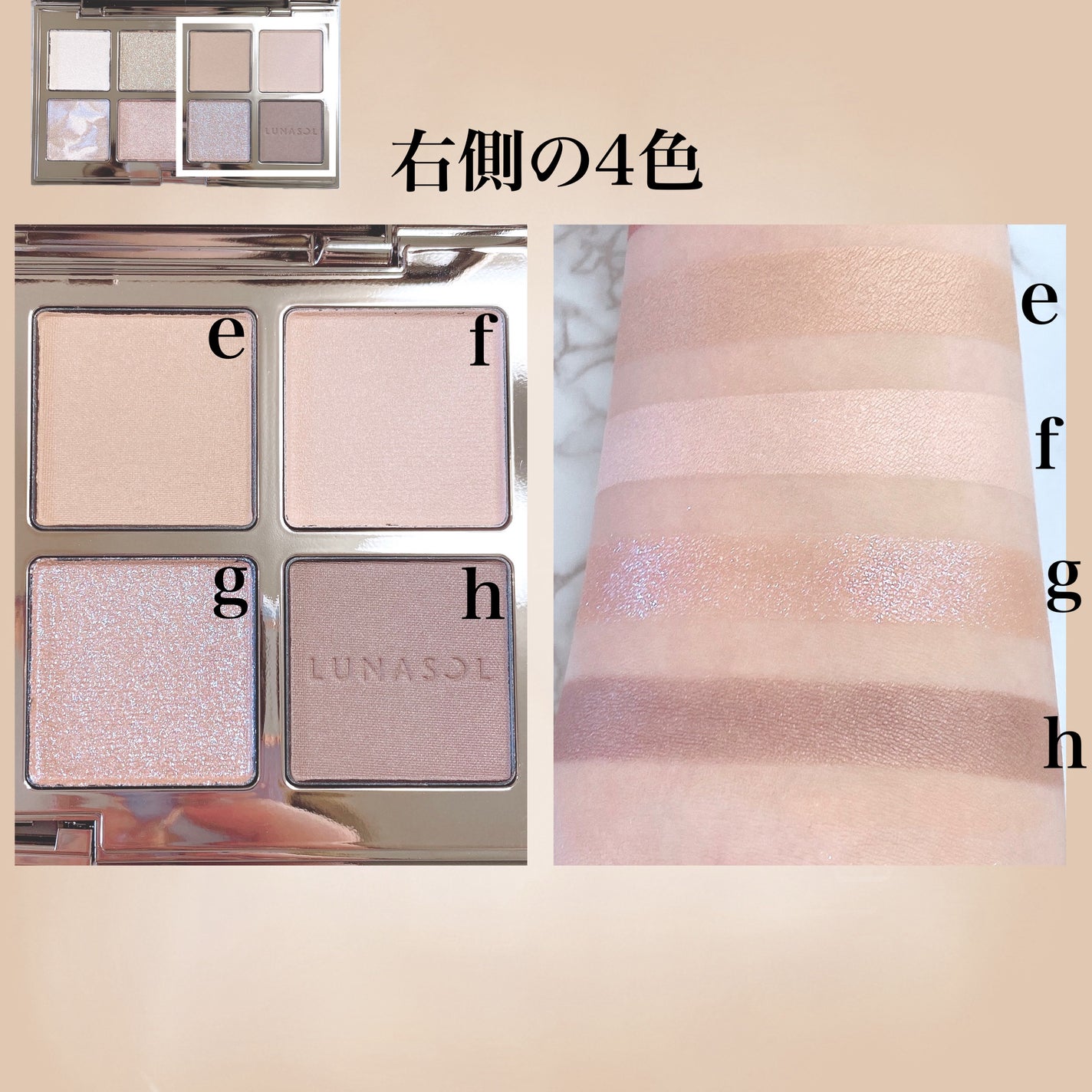 アイカラーレーション スペシャルエディション/LUNASOL/アイシャドウパレットを使ったクチコミ(5枚目)