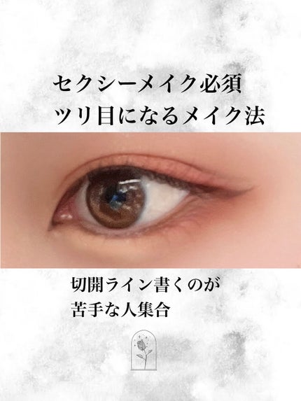 ラブ・ライナー リキッドアイライナーR3/ラブ・ライナー/リキッドアイライナーを使ったクチコミ(1枚目)