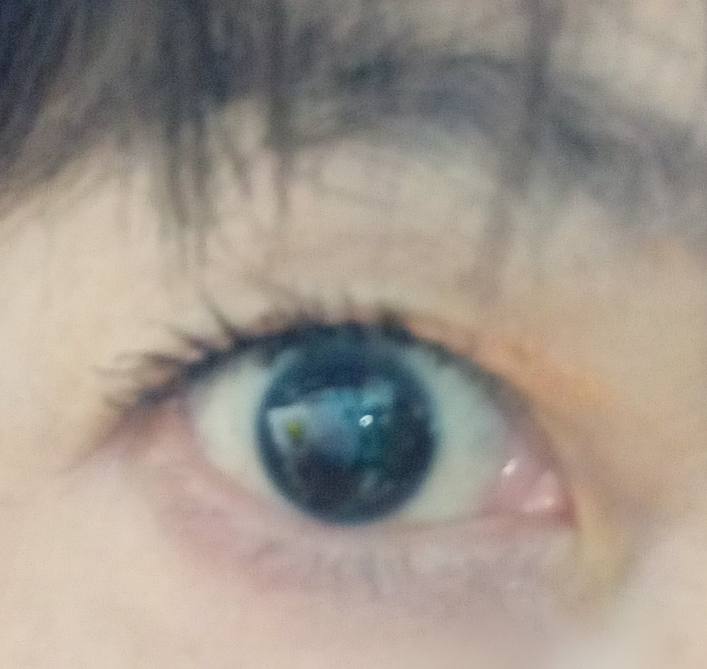 ラッシュセラムカーラー/MAJOLICA MAJORCA/マスカラ下地を使ったクチコミ(2枚目)