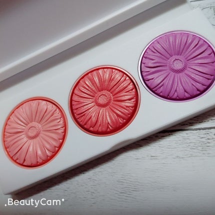 チーク ポップ パレット/CLINIQUE/パウダーチークを使ったクチコミ(1枚目)