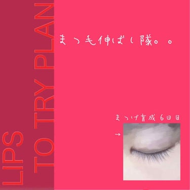 ・．─────── ☾───────．・


⚠️目のアップがあります⚠️

《 まつげ育成6日目 (最終回) 》

おはこんばんにちは🤟伊佐です。


まつ毛育せいのお時間でーす🎈
この企画を初めて7