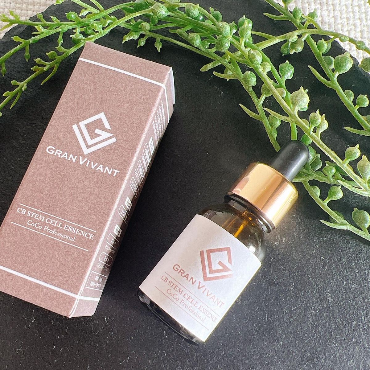 シービーステムセルエッセンス/GRAN VIVANT/美容液を使ったクチコミ(2枚目)