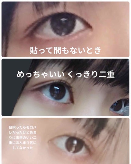 プリュドール ナチュラル/STYLE+NOBLE/二重まぶた用アイテムを使ったクチコミ(2枚目)