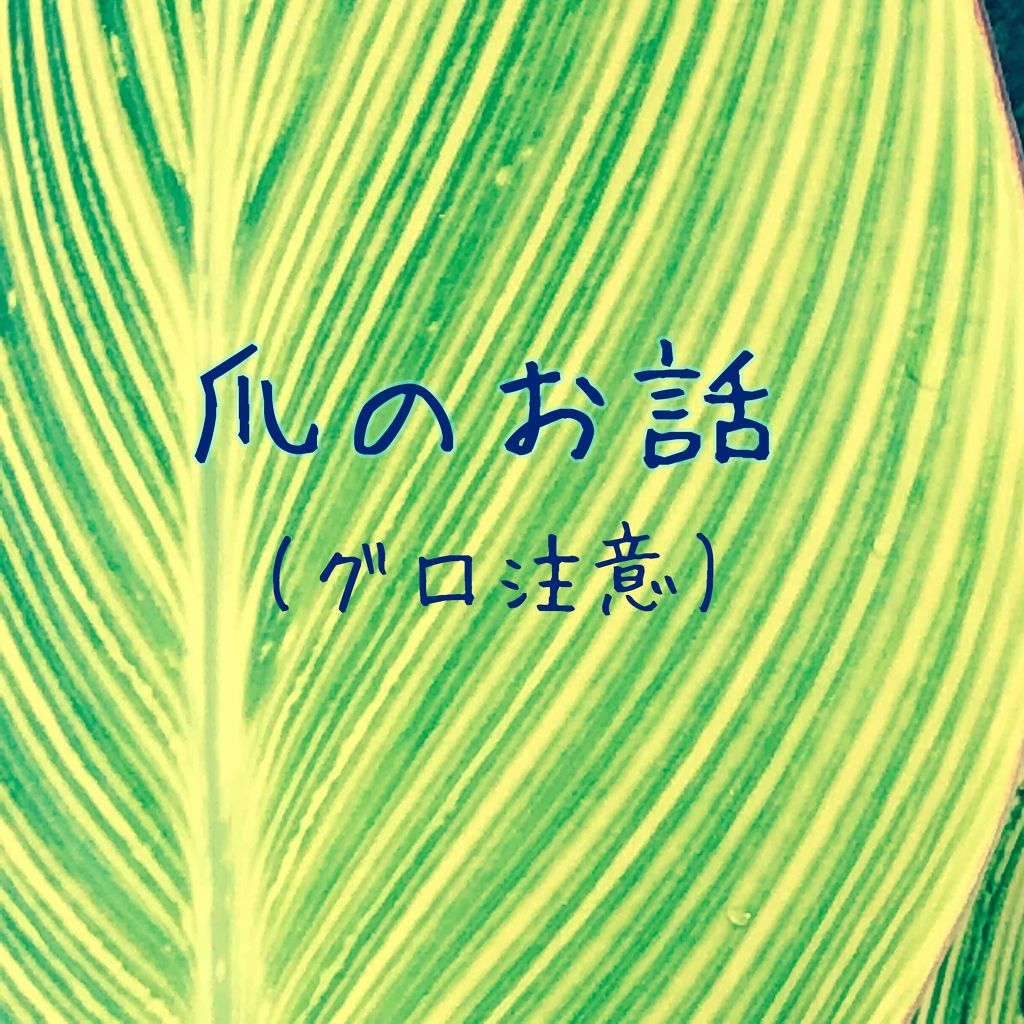 ディープセラム/Dr.Nail/ネイルオイル・トリートメントを使ったクチコミ(1枚目)