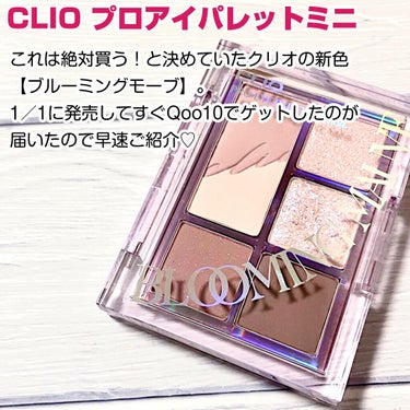 プロ アイパレット ミニ/CLIO/アイシャドウパレットを使ったクチコミ（2枚目）