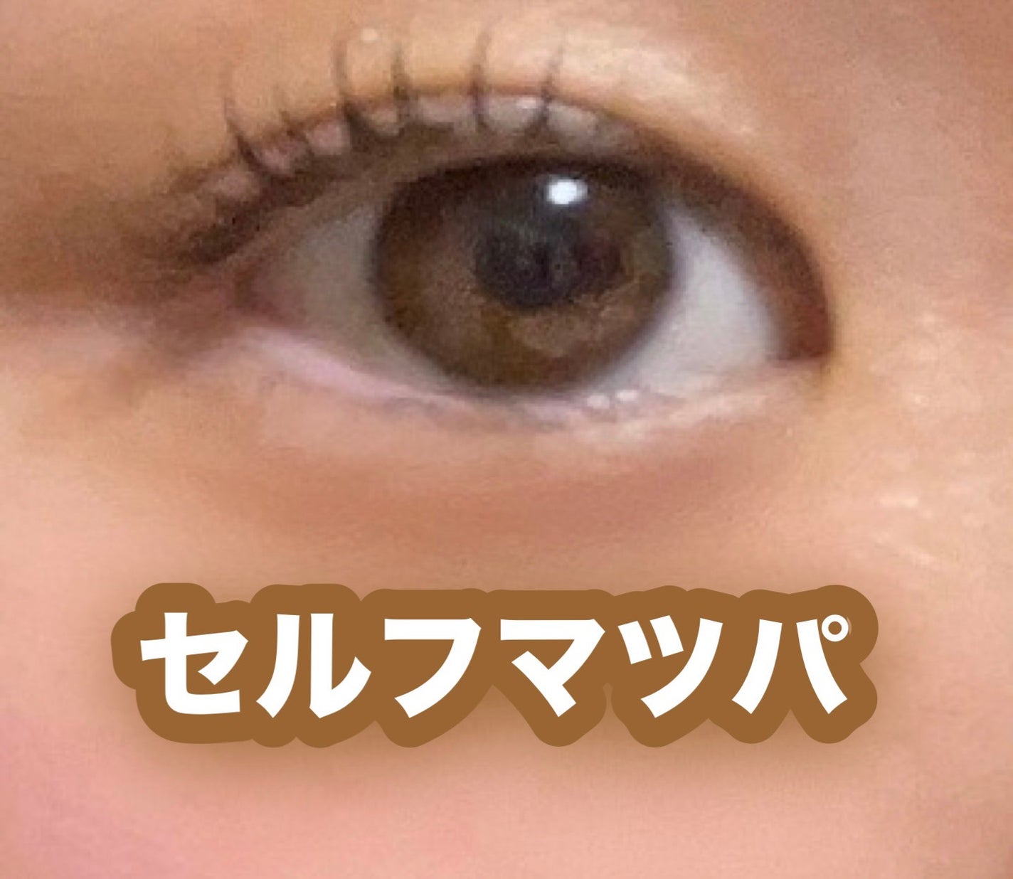 まつ毛パーマキット/LEPOREM/その他キットセットを使ったクチコミ(1枚目)