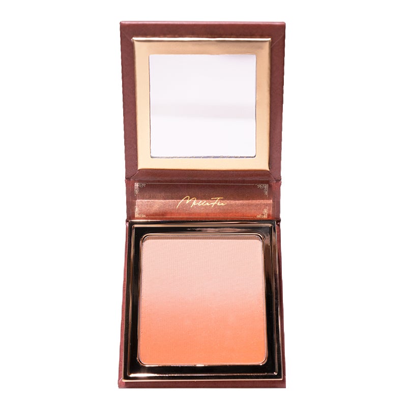 天使の絵画チーク 02 絵画の寓意