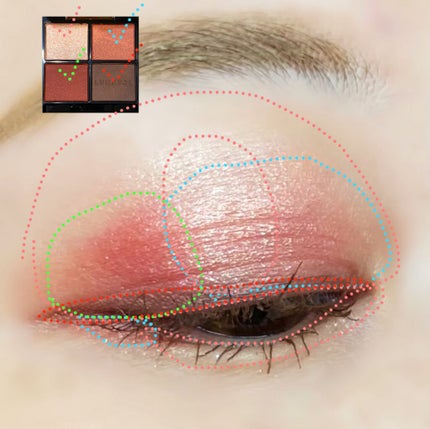 アイカラーレーション/LUNASOL/アイシャドウパレットを使ったクチコミ(5枚目)