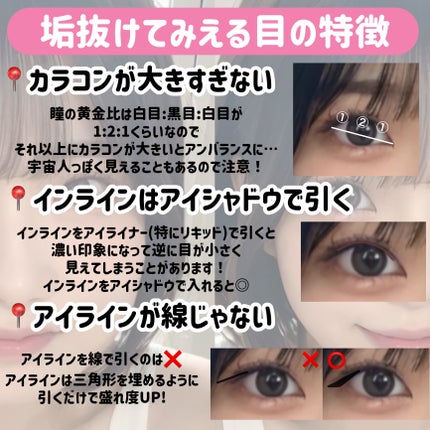 フラッターブラッシャー/mude/パウダーチークを使ったクチコミ(3枚目)