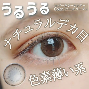 エバーカラーワンデー ナチュラル/エバーカラー/ワンデー（１DAY）カラコンを使ったクチコミ（1枚目）