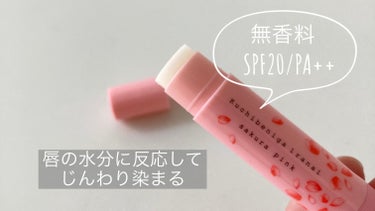 メンターム 口紅がいらない薬用リップうすづきUVのクチコミ「近江兄弟社メンターム
口紅がいらない薬用モイストリップ

さくら

✼••┈┈••✼••┈┈•.....」（2枚目）