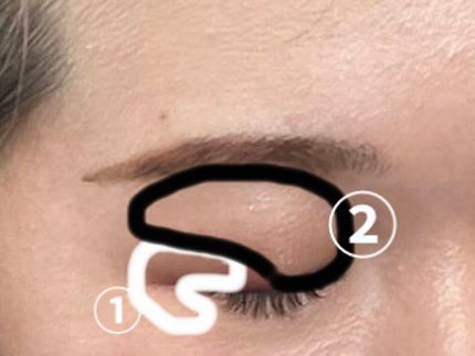 ノーズ&アイブロウパウダー/CEZANNE/パウダーアイブロウを使ったクチコミ(2枚目)