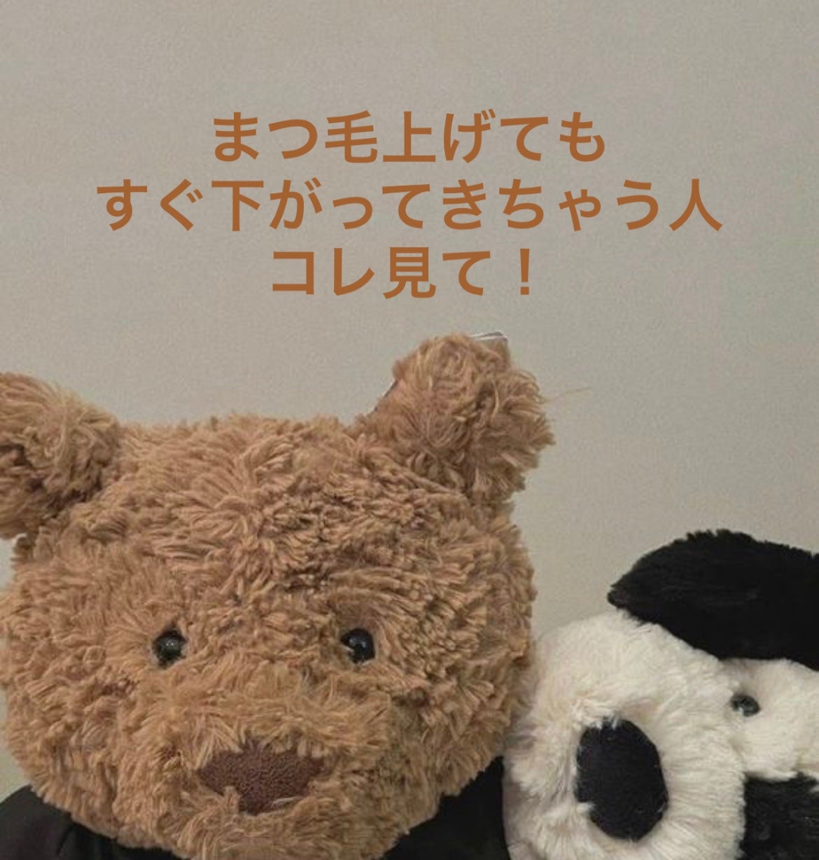 ミニホットアイラッシュカーラー/ニトリ/ホットビューラーを使ったクチコミ(1枚目)