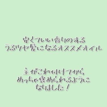 オイルトリートメント #EXヘアオイル リッチモイスチャー/ルシードエル/ヘアオイルを使ったクチコミ（1枚目）