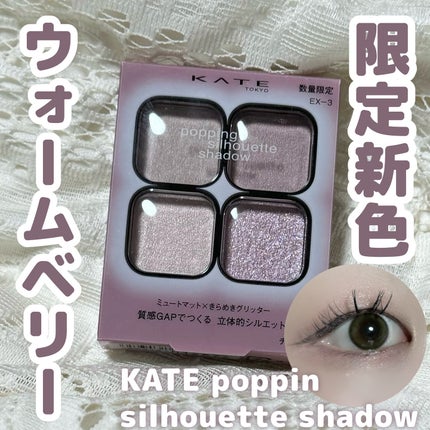 ケイト ポッピングシルエットシャドウ/KATE/アイシャドウパレットを使ったクチコミ(1枚目)