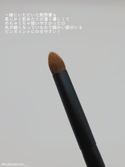 マルチカラーバリエーション トゥインクル/チャコット・コスメティクス/単色アイシャドウを使ったクチコミ(5枚目)