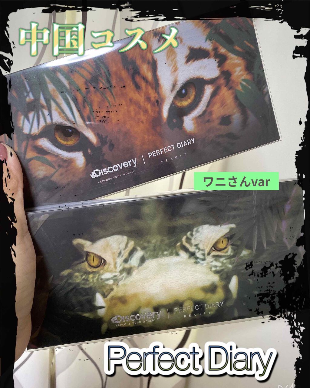 エクスプローラ12色 動物アイシャドウパレット/PERFECT DIARY/アイシャドウパレットを使ったクチコミ（1枚目）