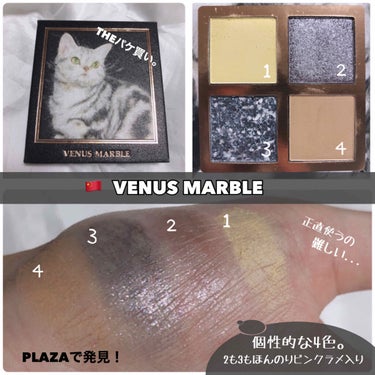 Venus Marble アイシャドウキャットシリーズ/Venus Marble/アイシャドウパレットを使ったクチコミ（2枚目）