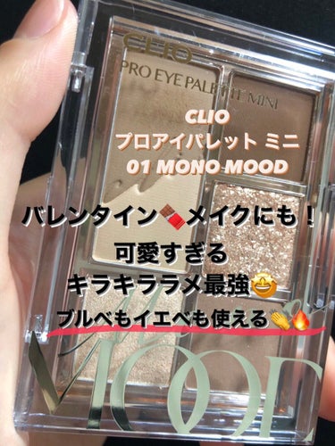 プロ アイパレット ミニ/CLIO/アイシャドウパレットを使ったクチコミ（1枚目）