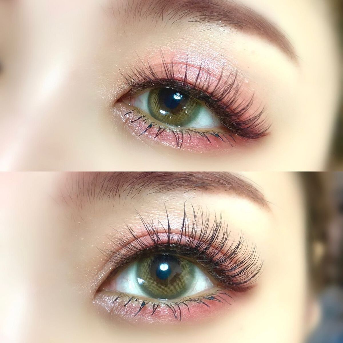 アニマルアイシャドウ(4シェード)/ZEESEA/アイシャドウパレットを使ったクチコミ(5枚目)