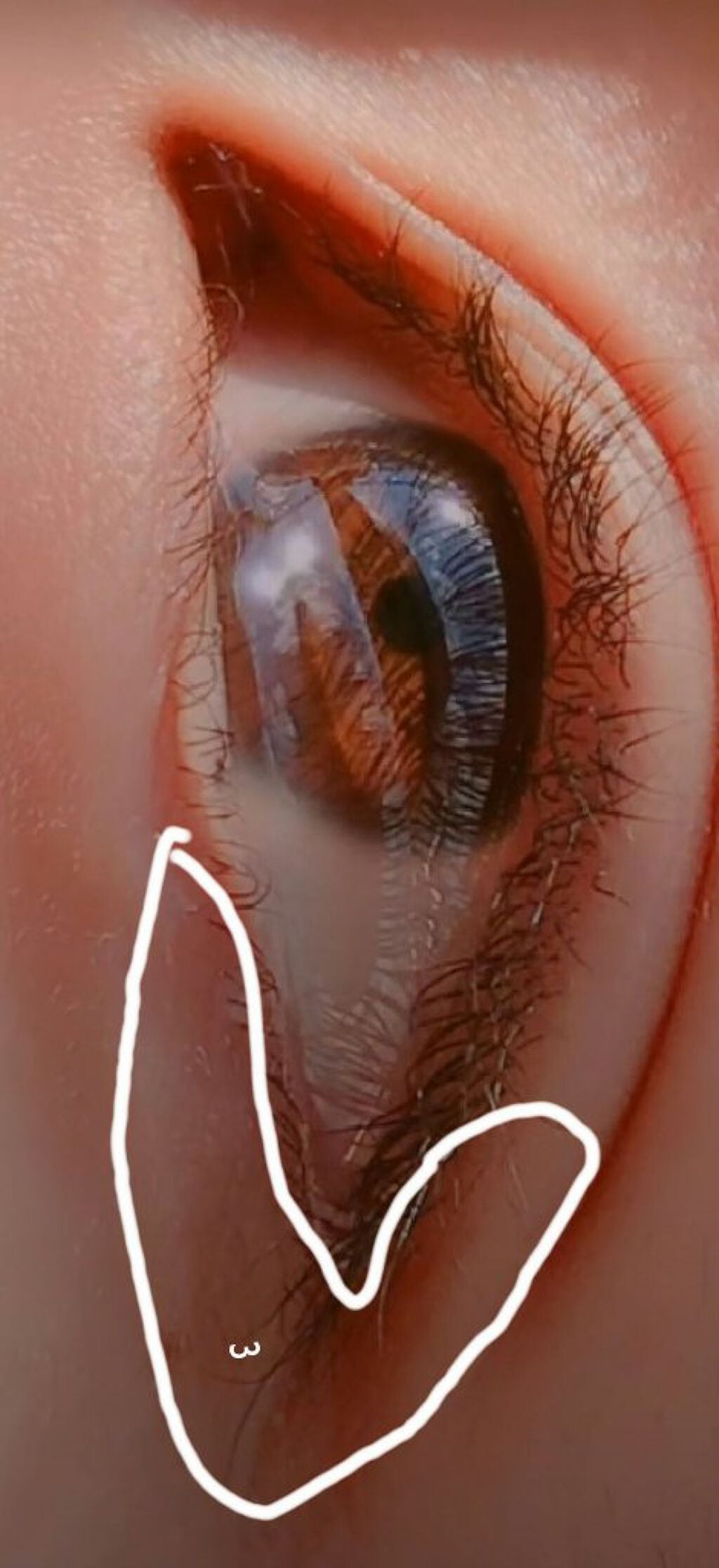 UR GLAM BLOOMING EYE COLOR PALETTE/U R GLAM/アイシャドウパレットを使ったクチコミ(3枚目)