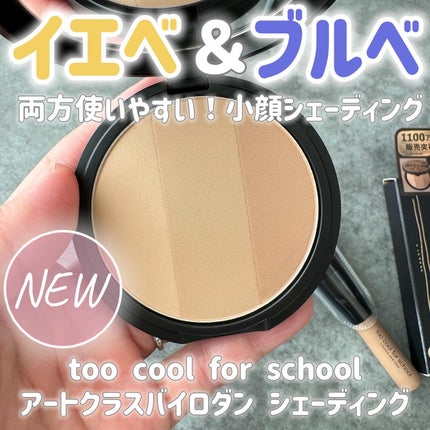アートクラスバイロダン シェーディング/too cool for school/シェーディングを使ったクチコミ(1枚目)