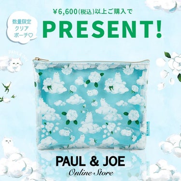 フィキシング ミスト/PAUL & JOE BEAUTE/フィックスミストを使ったクチコミ（2枚目）