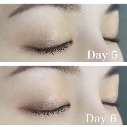 【旧】サンク クルール クチュール/Dior/アイシャドウパレットを使ったクチコミ(8枚目)