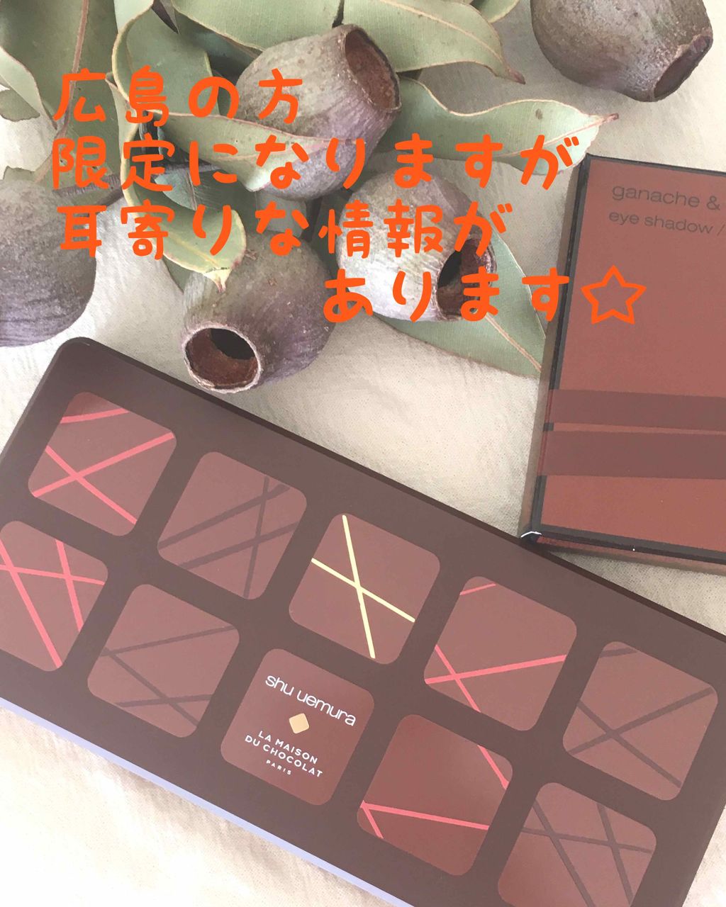 ガナッシュ アンド プラリネ アイパレット/shu uemura/アイシャドウパレットを使ったクチコミ（1枚目）