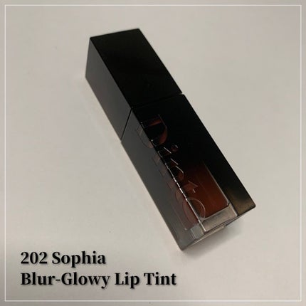 ブラーフィニシュシャドウパレット/Dinto/アイシャドウパレットを使ったクチコミ(9枚目)