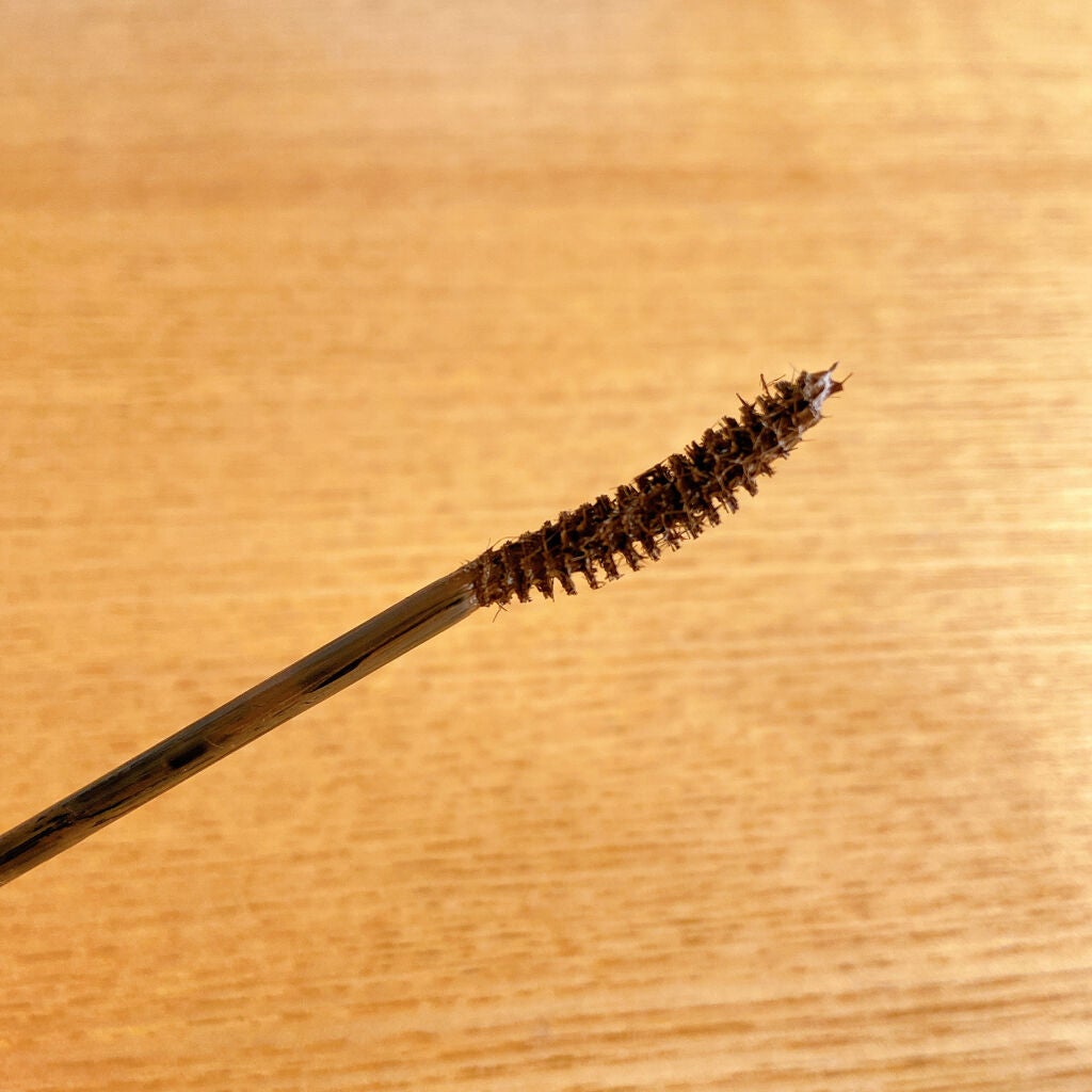 MD インスパイアロングラッシュ カーリングマスカラ/mude/マスカラを使ったクチコミ(3枚目)