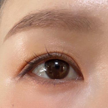 インテレクチュアルリクイドアイライナーN 03 Brownish Brown/LUNASOL/リキッドアイライナーを使ったクチコミ（2枚目）