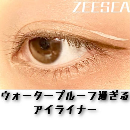 カラーリキッドアイライナー/ZEESEA/リキッドアイライナーを使ったクチコミ(1枚目)