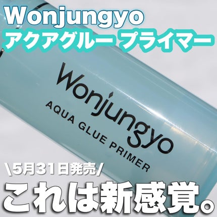 ウォンジョンヨ アクアグルー プライマー/Wonjungyo/化粧下地を使ったクチコミ(1枚目)