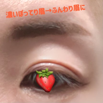 ラブ・ライナー シグネチャーフィットパウダー<アイブロウ>/ラブ・ライナー/パウダーアイブロウを使ったクチコミ(6枚目)