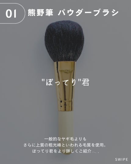 RE20-10 チークブラシ/永豊堂/メイクブラシを使ったクチコミ(2枚目)