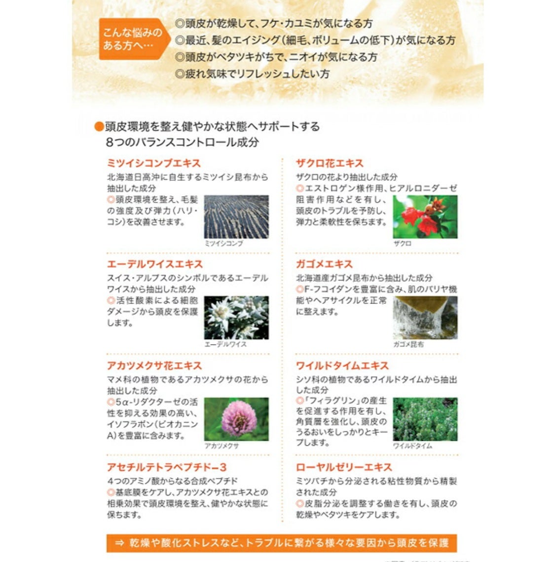 Fプロテクト クラッキングスカルプ/FIOLE/頭皮ローションを使ったクチコミ(3枚目)