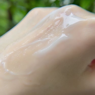 ヒアロビューティー　モイストケアミルク/太陽のアロエ社/乳液を使ったクチコミ（4枚目）