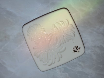 プレスト ブラッシュ/PAUL & JOE BEAUTE/パウダーチークを使ったクチコミ(1枚目)