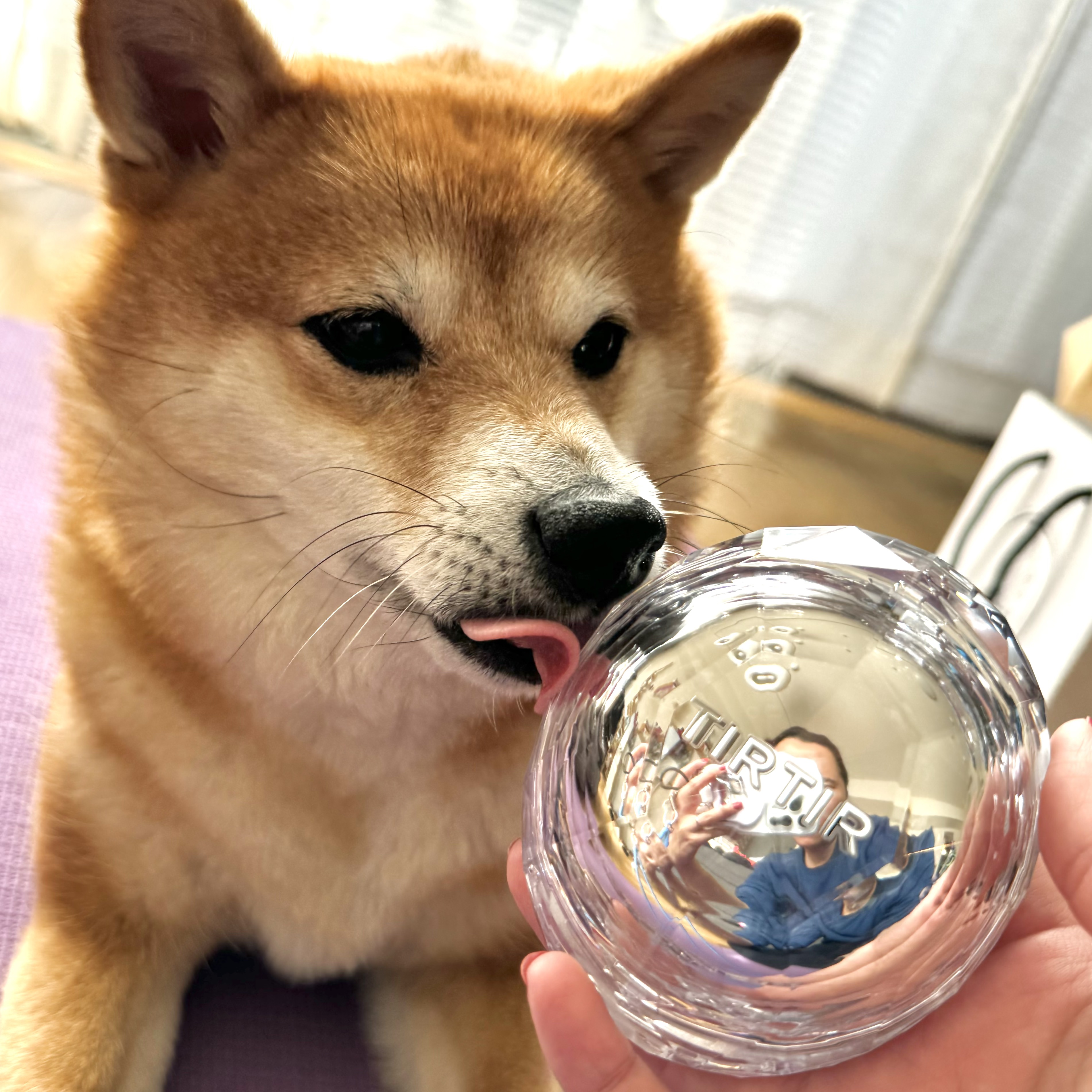 マスクフィット クリスタルメッシュクッション/TIRTIR(ティルティル)/クッションファンデーションを使ったクチコミ（1枚目）