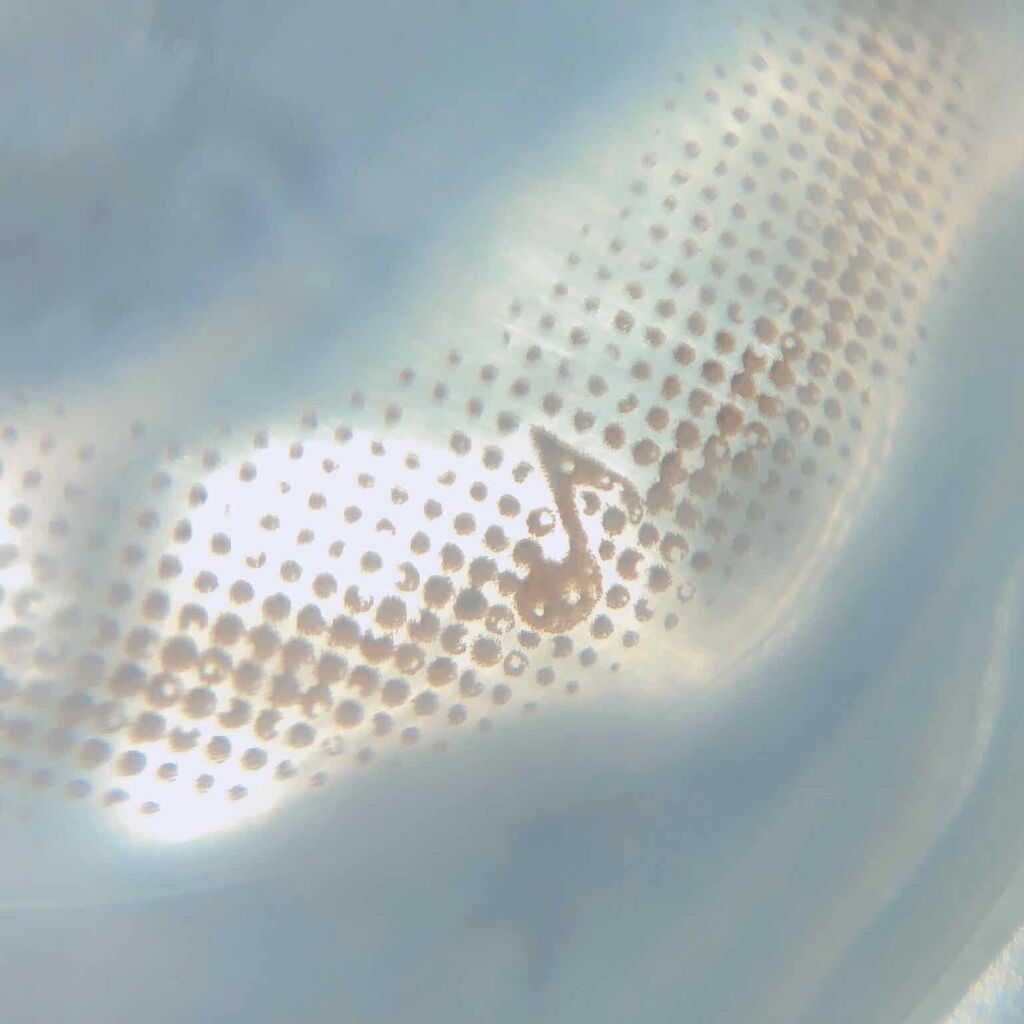 ワルツモカ/アレグロ/カラーコンタクトレンズを使ったクチコミ（3枚目）