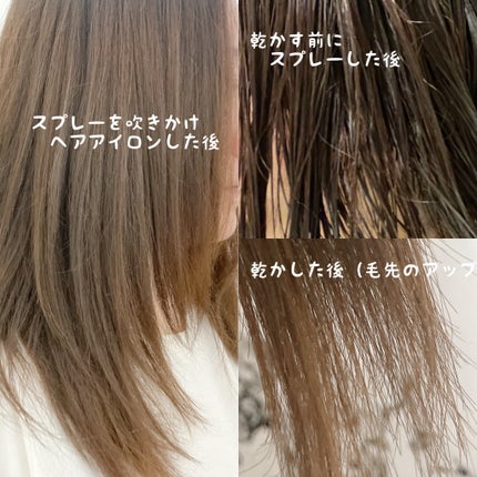 セラブルーチンスプレー/Epunol/プレスタイリング・寝ぐせ直しを使ったクチコミ(2枚目)
