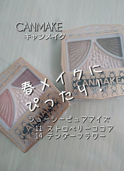 ジューシーピュアアイズ/キャンメイク/アイシャドウパレットを使ったクチコミ(1枚目)