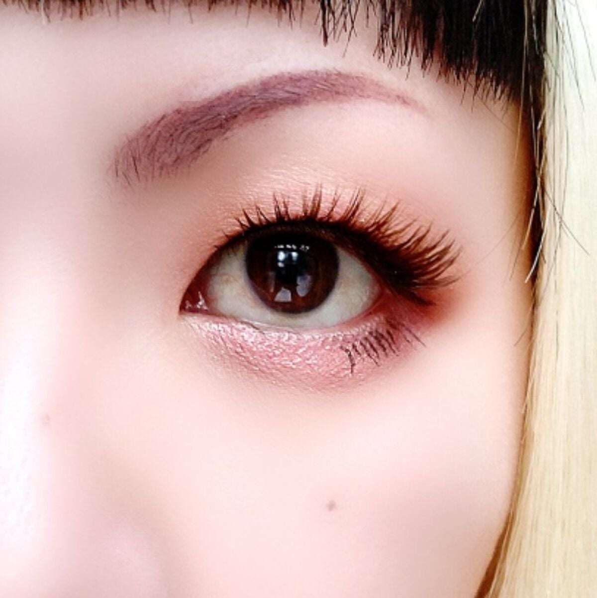 パノラマデザイン アイパレット/Visée/アイシャドウパレットを使ったクチコミ(6枚目)