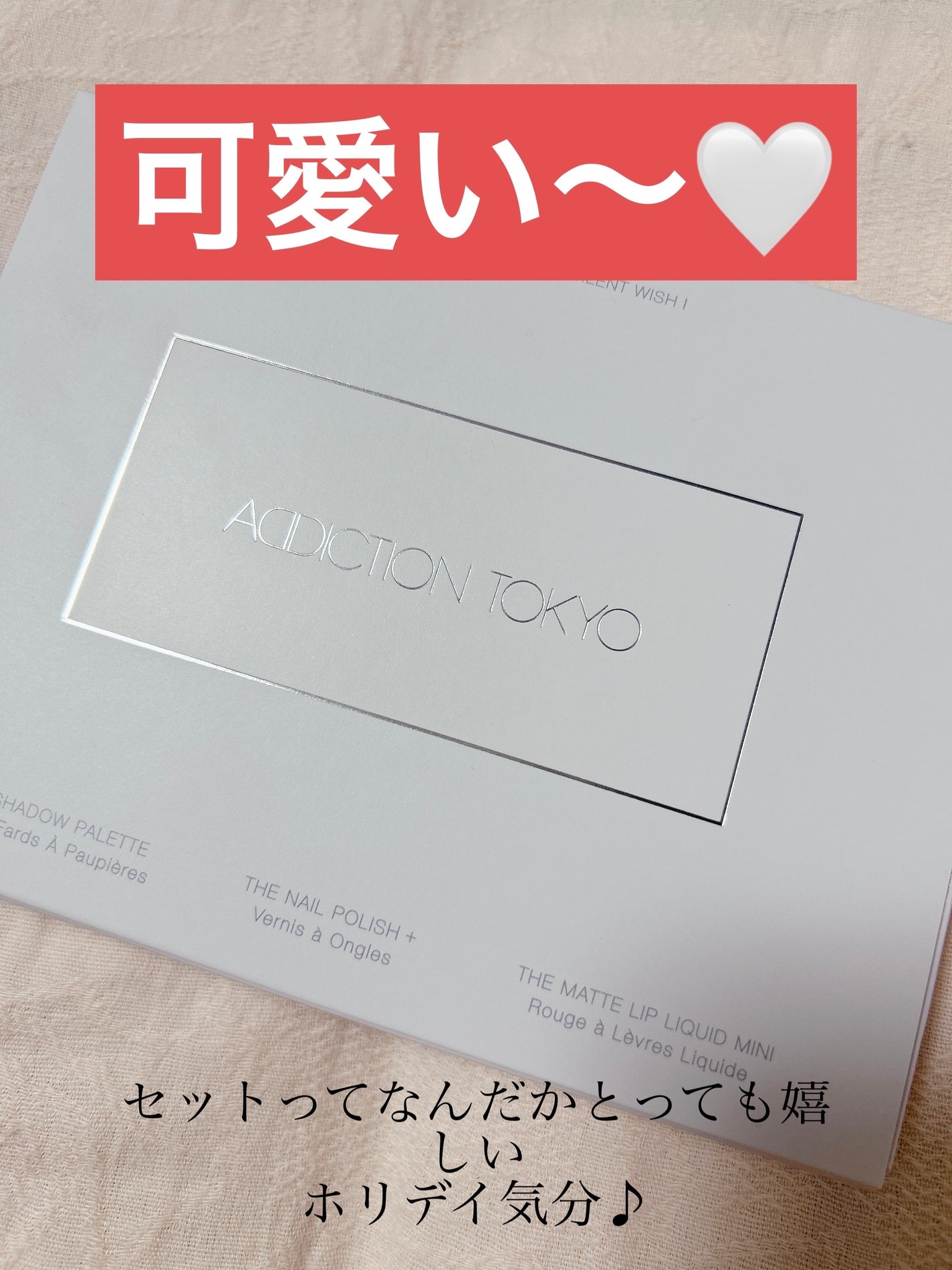 ホリデー アディクション サイレント ウィッシュⅠ/ADDICTION/メイクアップキットを使ったクチコミ(4枚目)