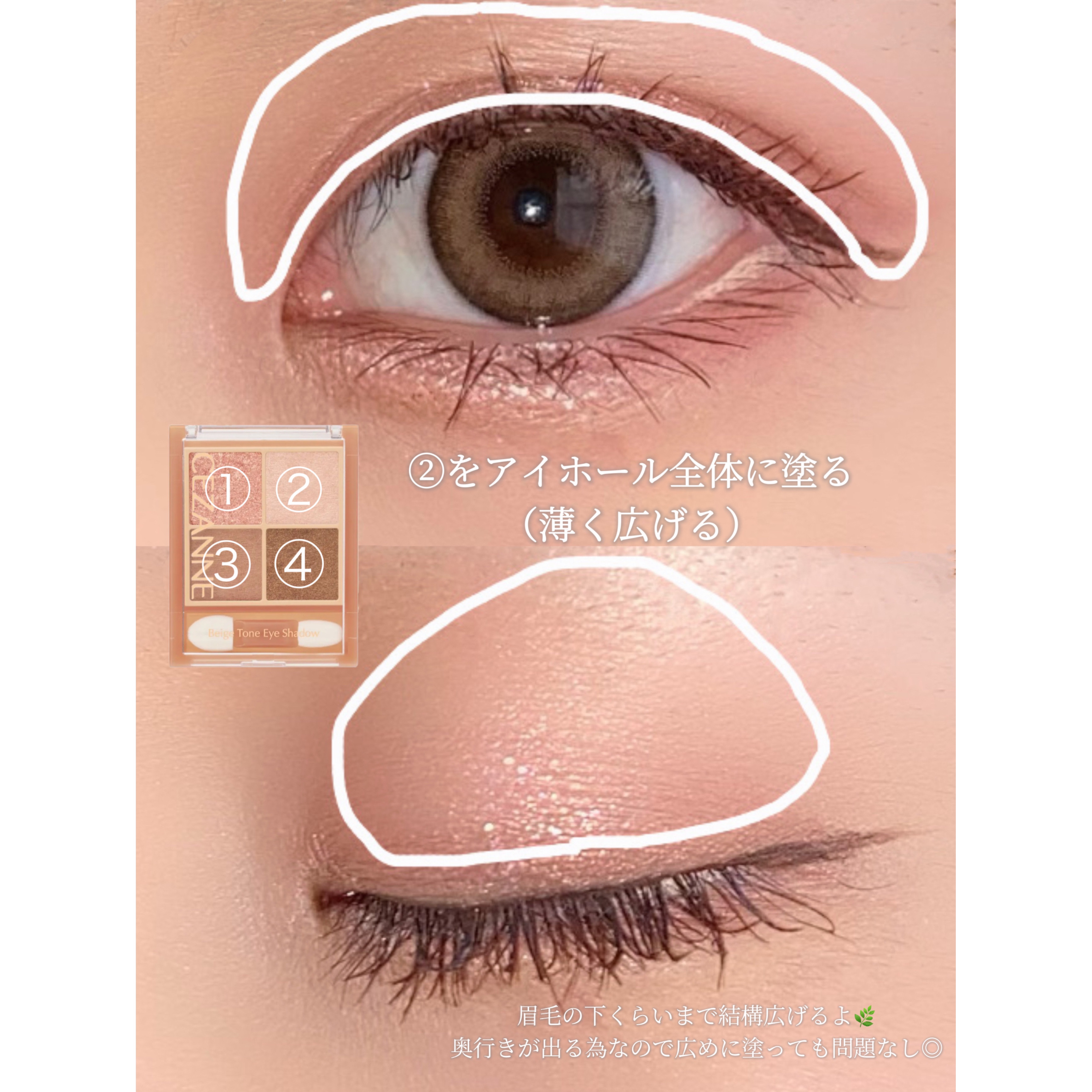 ベージュトーンアイシャドウ/CEZANNE/アイシャドウパレットを使ったクチコミ（2枚目）