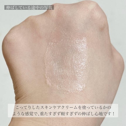 デリケートシルクベールアートプライマー/TFIT/化粧下地を使ったクチコミ(5枚目)