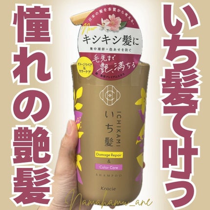 ãã¡ãŒãžãªãã¢ïŒã«ã©ãŒã±ã¢ ã·ã£ã³ããŒ/ã³ã³ãã£ã·ã§ããŒ/ãã¡é«ª/åžè²©ã·ã£ã³ããŒã䜿ã£ãã¯ãã³ãïŒ1æç®ïŒ