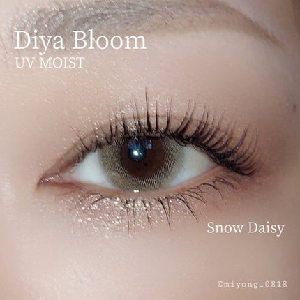 Diya Bloom UVモイスト/Diya/カラーコンタクトレンズを使ったクチコミ(3枚目)